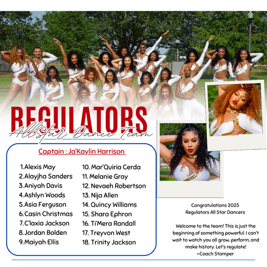 The Regulators - Member Payment Portal
